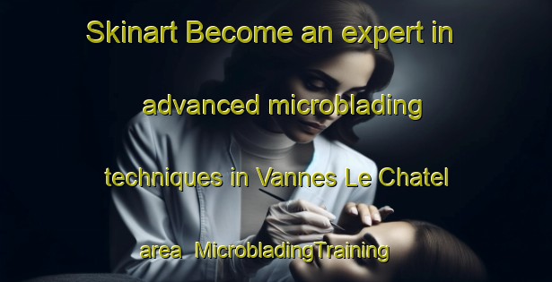 Skinart Become an expert in advanced microblading techniques in Vannes Le Chatel area | MicrobladingTraining | MicrobladingClasses | SkinartTraining-France