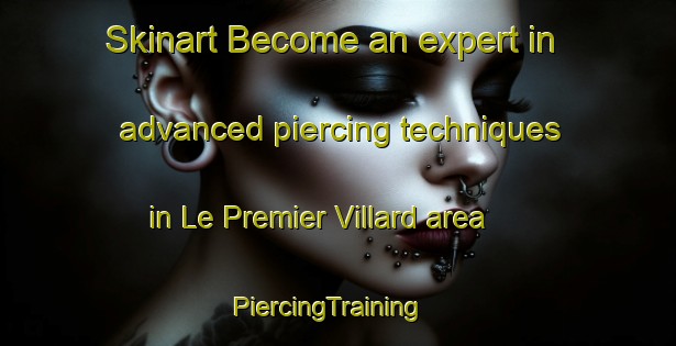 Skinart Become an expert in advanced piercing techniques in Le Premier Villard area | PiercingTraining | PiercingClasses | SkinartTraining-France