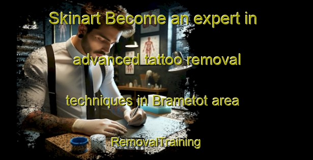 Skinart Become an expert in advanced tattoo removal techniques in Brametot area | RemovalTraining | RemovalClasses | SkinartTraining-France