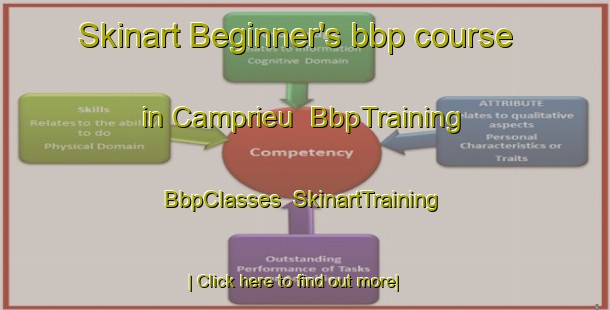 Skinart Beginner's bbp course in Camprieu | BbpTraining | BbpClasses | SkinartTraining-France
