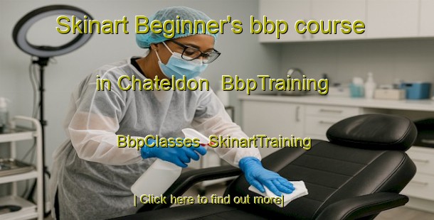 Skinart Beginner's bbp course in Chateldon | BbpTraining | BbpClasses | SkinartTraining-France