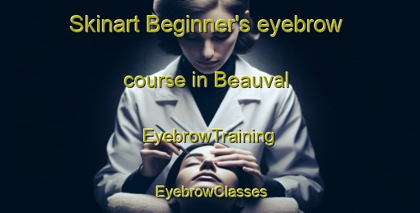 Skinart Beginner's eyebrow course in Beauval | EyebrowTraining | EyebrowClasses | SkinartTraining-France