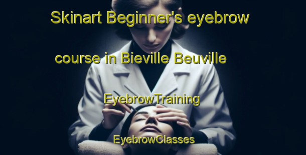 Skinart Beginner's eyebrow course in Bieville Beuville | EyebrowTraining | EyebrowClasses | SkinartTraining-France