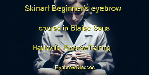 Skinart Beginner's eyebrow course in Blaise Sous Hauteville | EyebrowTraining | EyebrowClasses | SkinartTraining-France