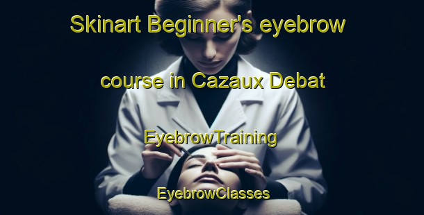 Skinart Beginner's eyebrow course in Cazaux Debat | EyebrowTraining | EyebrowClasses | SkinartTraining-France