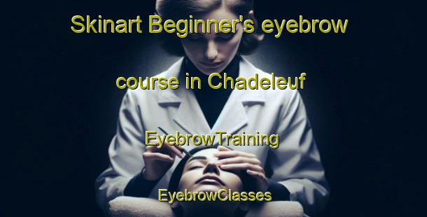 Skinart Beginner's eyebrow course in Chadeleuf | EyebrowTraining | EyebrowClasses | SkinartTraining-France