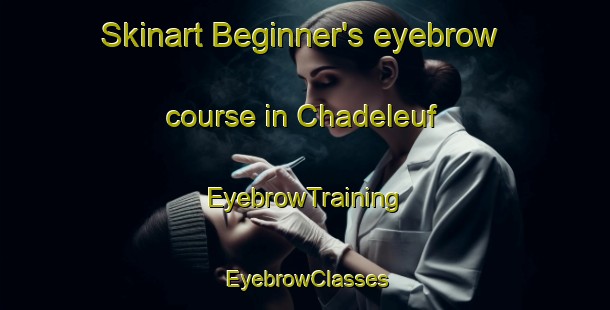 Skinart Beginner's eyebrow course in Chadeleuf | EyebrowTraining | EyebrowClasses | SkinartTraining-France