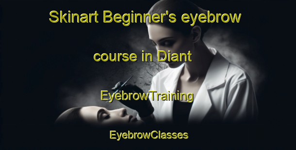 Skinart Beginner's eyebrow course in Diant | EyebrowTraining | EyebrowClasses | SkinartTraining-France