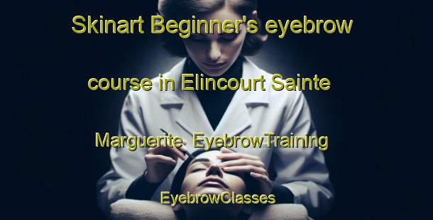 Skinart Beginner's eyebrow course in Elincourt Sainte Marguerite | EyebrowTraining | EyebrowClasses | SkinartTraining-France