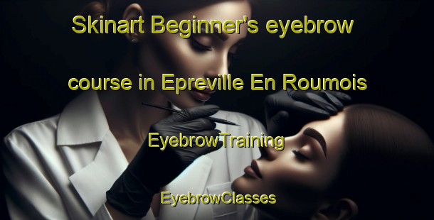 Skinart Beginner's eyebrow course in Epreville En Roumois | EyebrowTraining | EyebrowClasses | SkinartTraining-France