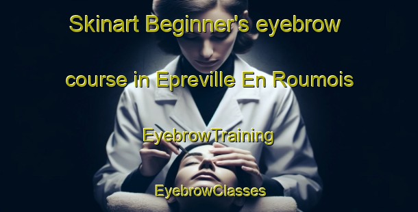 Skinart Beginner's eyebrow course in Epreville En Roumois | EyebrowTraining | EyebrowClasses | SkinartTraining-France