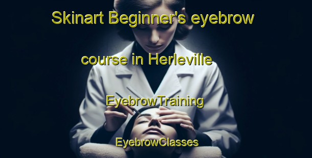 Skinart Beginner's eyebrow course in Herleville | EyebrowTraining | EyebrowClasses | SkinartTraining-France