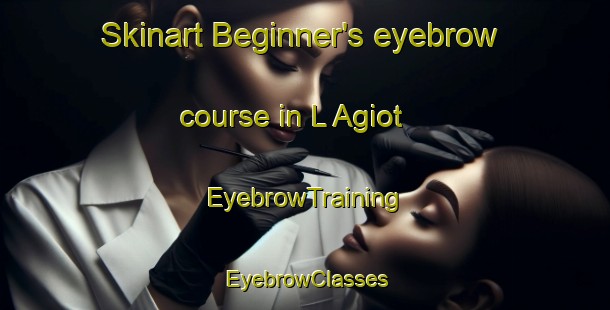 Skinart Beginner's eyebrow course in L Agiot | EyebrowTraining | EyebrowClasses | SkinartTraining-France