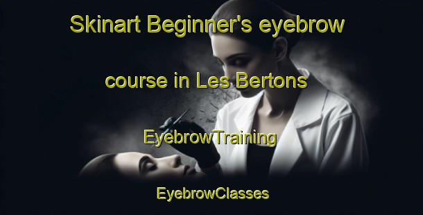 Skinart Beginner's eyebrow course in Les Bertons | EyebrowTraining | EyebrowClasses | SkinartTraining-France