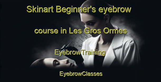Skinart Beginner's eyebrow course in Les Gros Ormes | EyebrowTraining | EyebrowClasses | SkinartTraining-France