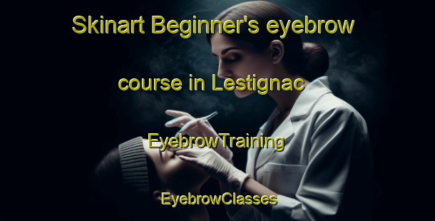 Skinart Beginner's eyebrow course in Lestignac | EyebrowTraining | EyebrowClasses | SkinartTraining-France