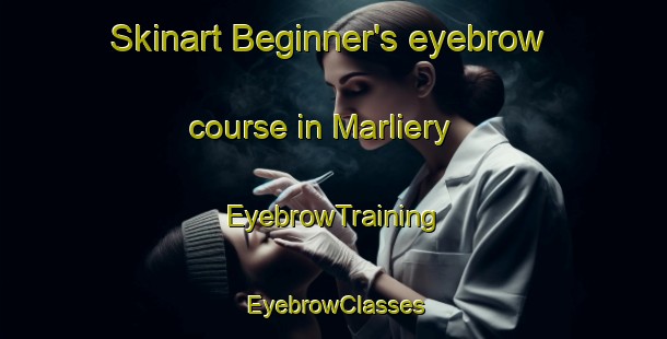 Skinart Beginner's eyebrow course in Marliery | EyebrowTraining | EyebrowClasses | SkinartTraining-France