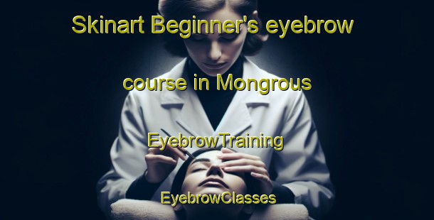 Skinart Beginner's eyebrow course in Mongrous | EyebrowTraining | EyebrowClasses | SkinartTraining-France