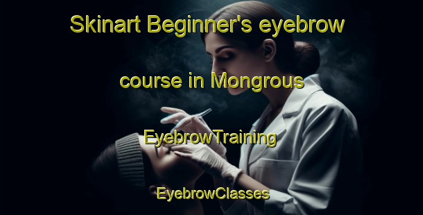 Skinart Beginner's eyebrow course in Mongrous | EyebrowTraining | EyebrowClasses | SkinartTraining-France