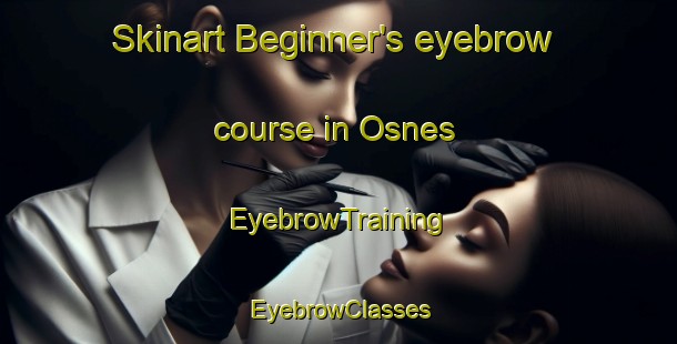 Skinart Beginner's eyebrow course in Osnes | EyebrowTraining | EyebrowClasses | SkinartTraining-France