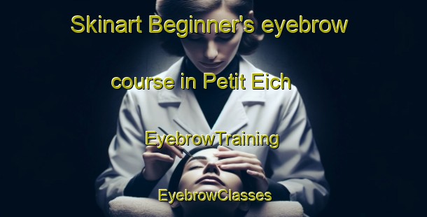 Skinart Beginner's eyebrow course in Petit Eich | EyebrowTraining | EyebrowClasses | SkinartTraining-France