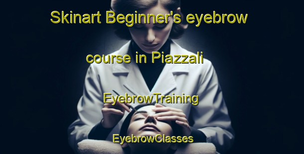 Skinart Beginner's eyebrow course in Piazzali | EyebrowTraining | EyebrowClasses | SkinartTraining-France