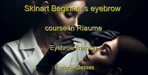 Skinart Beginner's eyebrow course in Riaume | EyebrowTraining | EyebrowClasses | SkinartTraining-France