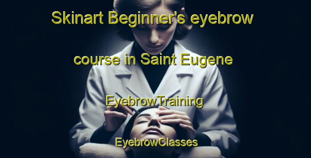 Skinart Beginner's eyebrow course in Saint Eugene | EyebrowTraining | EyebrowClasses | SkinartTraining-France