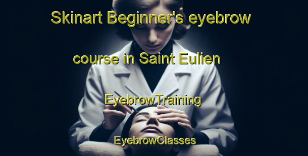 Skinart Beginner's eyebrow course in Saint Eulien | EyebrowTraining | EyebrowClasses | SkinartTraining-France