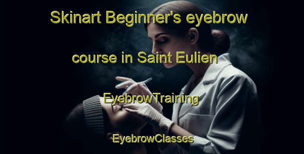 Skinart Beginner's eyebrow course in Saint Eulien | EyebrowTraining | EyebrowClasses | SkinartTraining-France
