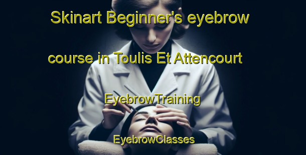 Skinart Beginner's eyebrow course in Toulis Et Attencourt | EyebrowTraining | EyebrowClasses | SkinartTraining-France