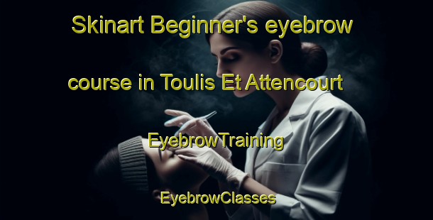 Skinart Beginner's eyebrow course in Toulis Et Attencourt | EyebrowTraining | EyebrowClasses | SkinartTraining-France