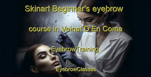 Skinart Beginner's eyebrow course in Veinat D En Coma | EyebrowTraining | EyebrowClasses | SkinartTraining-France