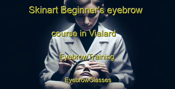 Skinart Beginner's eyebrow course in Vialard | EyebrowTraining | EyebrowClasses | SkinartTraining-France