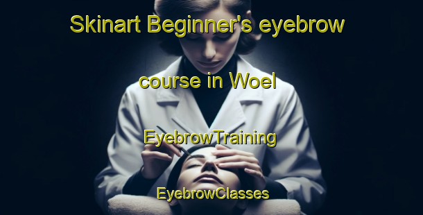 Skinart Beginner's eyebrow course in Woel | EyebrowTraining | EyebrowClasses | SkinartTraining-France