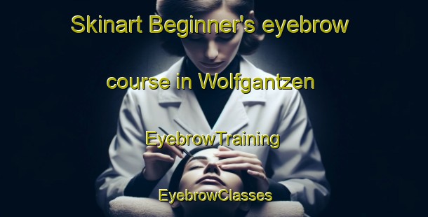 Skinart Beginner's eyebrow course in Wolfgantzen | EyebrowTraining | EyebrowClasses | SkinartTraining-France