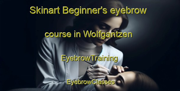 Skinart Beginner's eyebrow course in Wolfgantzen | EyebrowTraining | EyebrowClasses | SkinartTraining-France