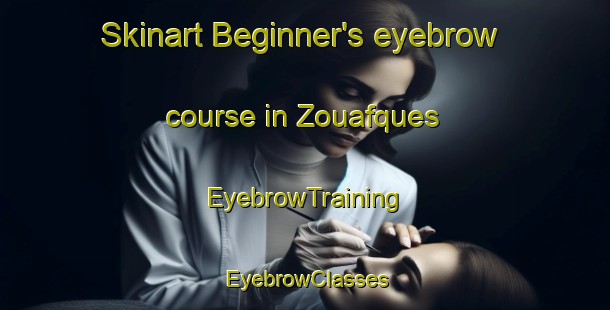 Skinart Beginner's eyebrow course in Zouafques | EyebrowTraining | EyebrowClasses | SkinartTraining-France