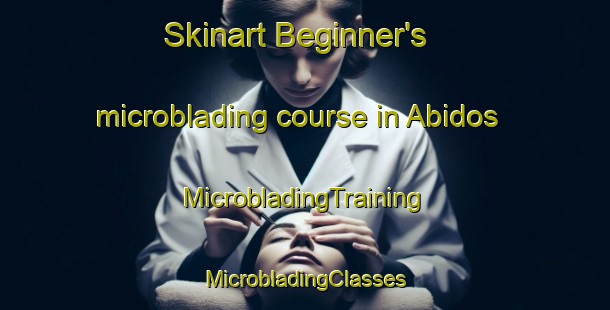 Skinart Beginner's microblading course in Abidos | #MicrobladingTraining #MicrobladingClasses #SkinartTraining-France