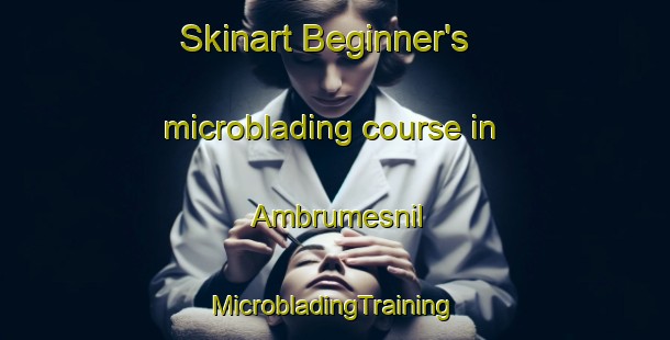 Skinart Beginner's microblading course in Ambrumesnil | #MicrobladingTraining #MicrobladingClasses #SkinartTraining-France