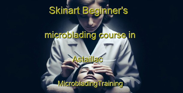 Skinart Beginner's microblading course in Astaillac | #MicrobladingTraining #MicrobladingClasses #SkinartTraining-France