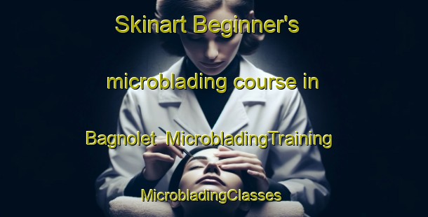 Skinart Beginner's microblading course in Bagnolet | MicrobladingTraining | MicrobladingClasses | SkinartTraining-France