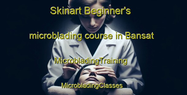 Skinart Beginner's microblading course in Bansat | MicrobladingTraining | MicrobladingClasses | SkinartTraining-France