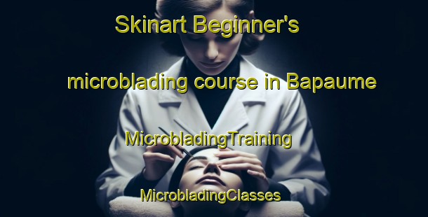 Skinart Beginner's microblading course in Bapaume | MicrobladingTraining | MicrobladingClasses | SkinartTraining-France