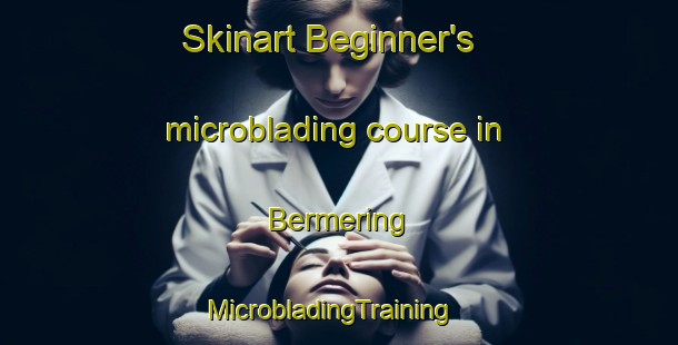 Skinart Beginner's microblading course in Bermering | MicrobladingTraining | MicrobladingClasses | SkinartTraining-France