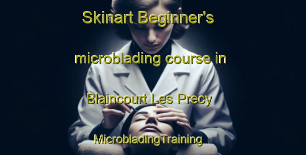 Skinart Beginner's microblading course in Blaincourt Les Precy | MicrobladingTraining | MicrobladingClasses | SkinartTraining-France