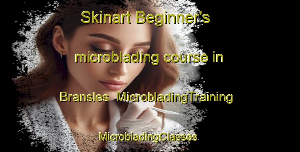 Skinart Beginner's microblading course in Bransles | MicrobladingTraining | MicrobladingClasses | SkinartTraining-France