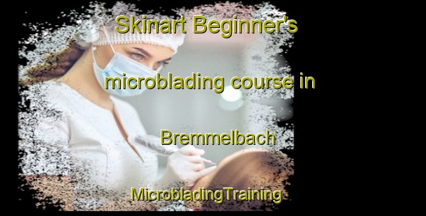 Skinart Beginner's microblading course in Bremmelbach | MicrobladingTraining | MicrobladingClasses | SkinartTraining-France