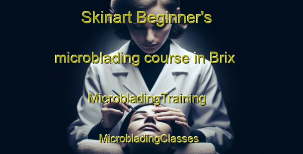 Skinart Beginner's microblading course in Brix | MicrobladingTraining | MicrobladingClasses | SkinartTraining-France