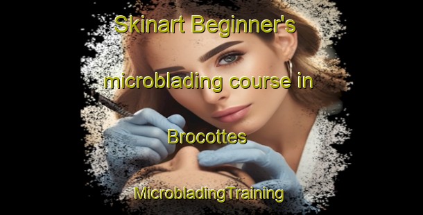 Skinart Beginner's microblading course in Brocottes | #MicrobladingTraining #MicrobladingClasses #SkinartTraining-France